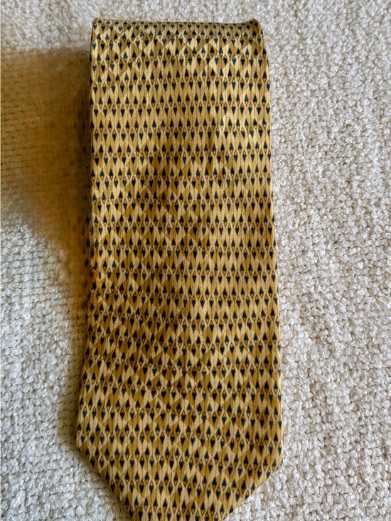 Etienne Aigner Other - Etienne Aigner Men's Gold Blue Geometric Silk Tie Woven Pointed Logo